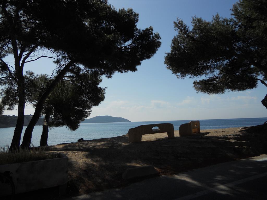 Studio Le Peneque Des Anges La Ciotat Room photo