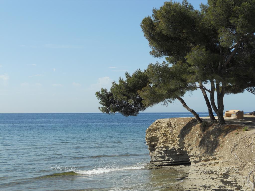 Studio Le Peneque Des Anges La Ciotat Room photo