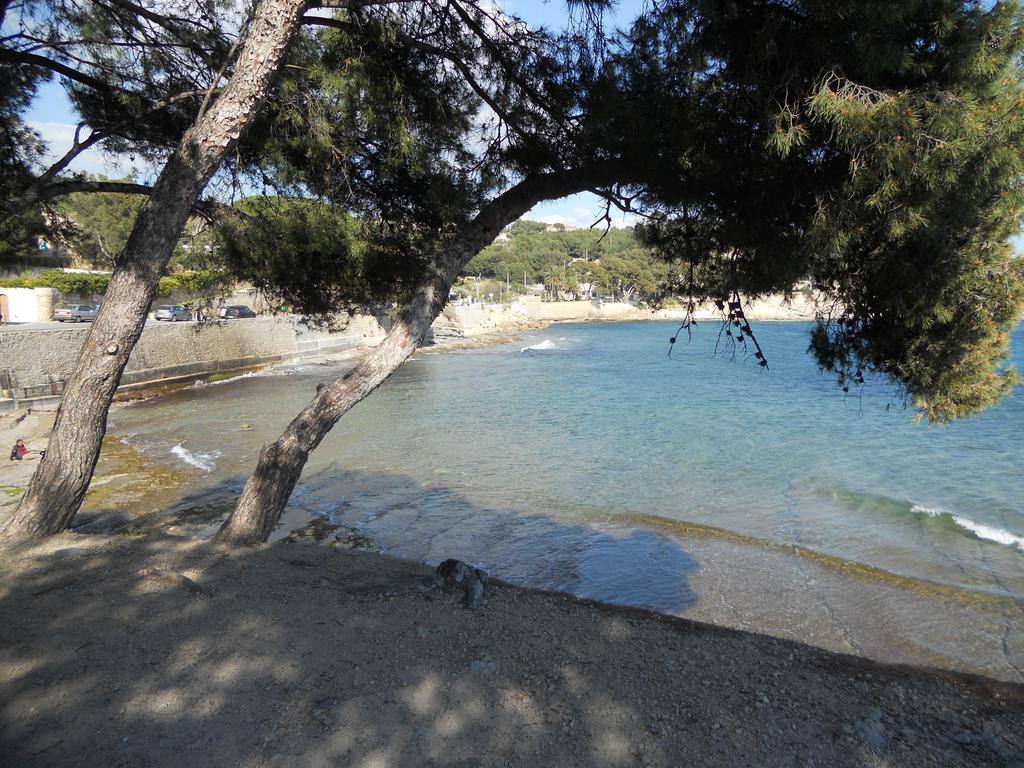 Studio Le Peneque Des Anges La Ciotat Room photo